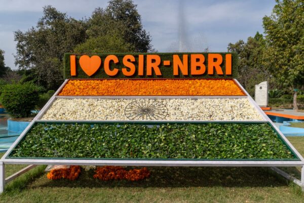 Govt jobs at CSIR-NBRI: Best opportunities for freshers